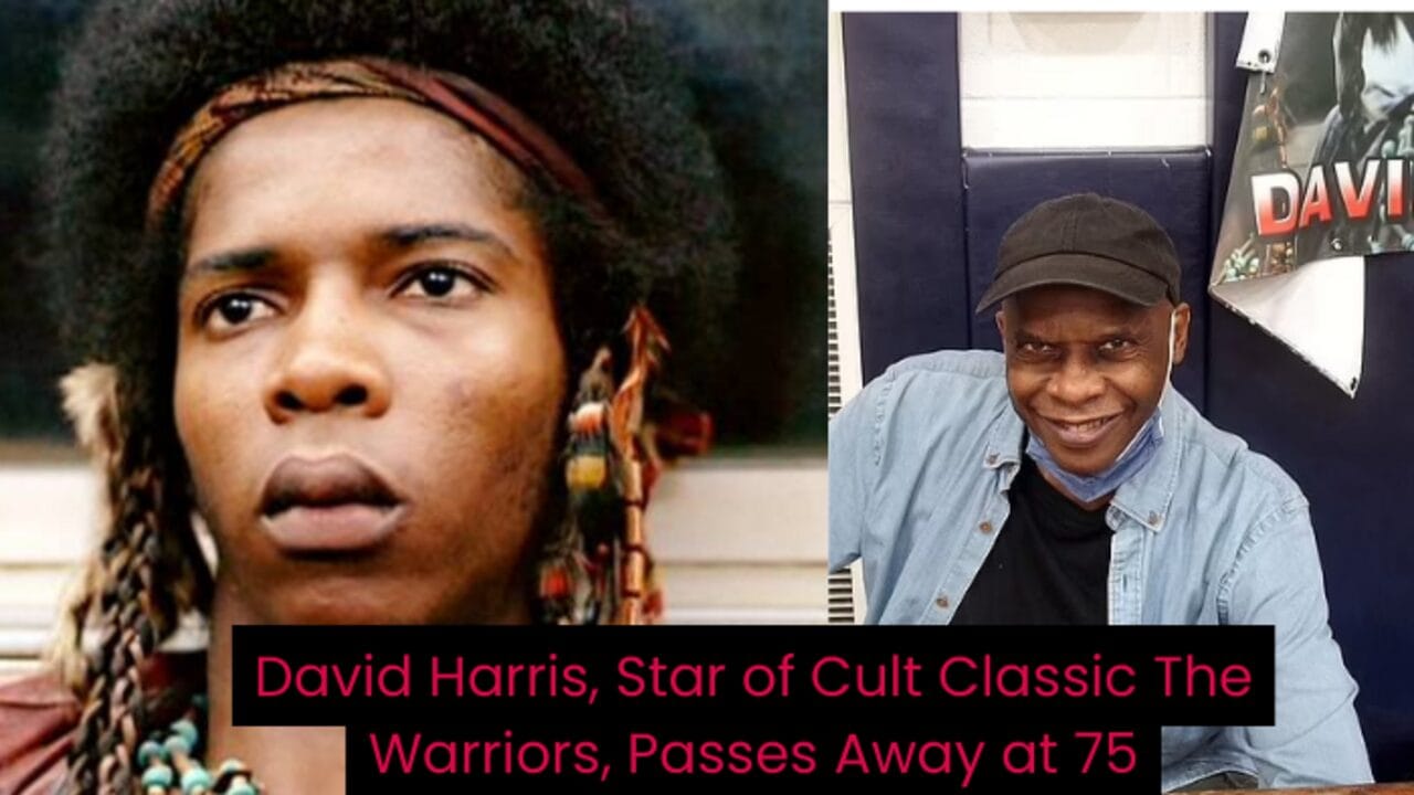 David Harris, Star of Cult Classic The Warriors, Passes Away at 75